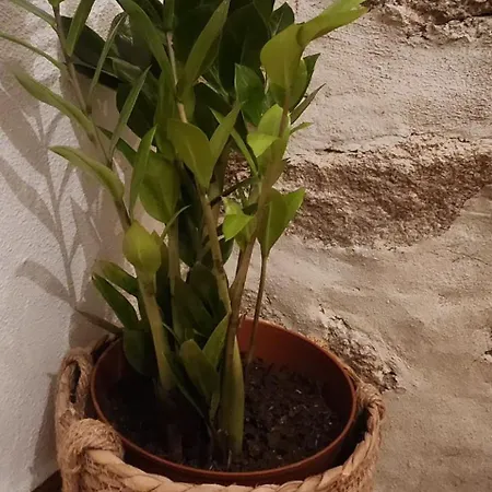 Casa Da Aldeia 2 Belmonte Фермерский дом *