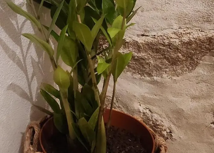 Casa Da Aldeia 2 Belmonte Agroturismo *